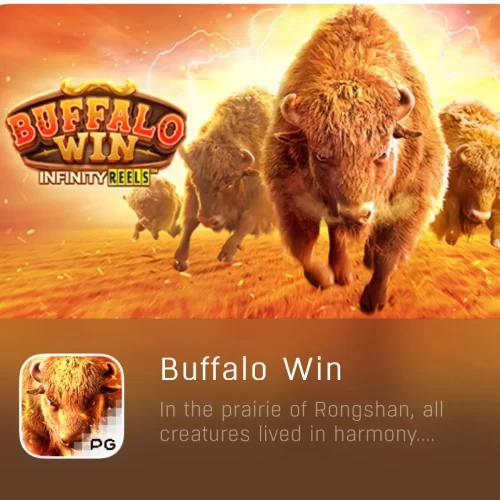 BUFFALO WIN-PGYESS69.COM